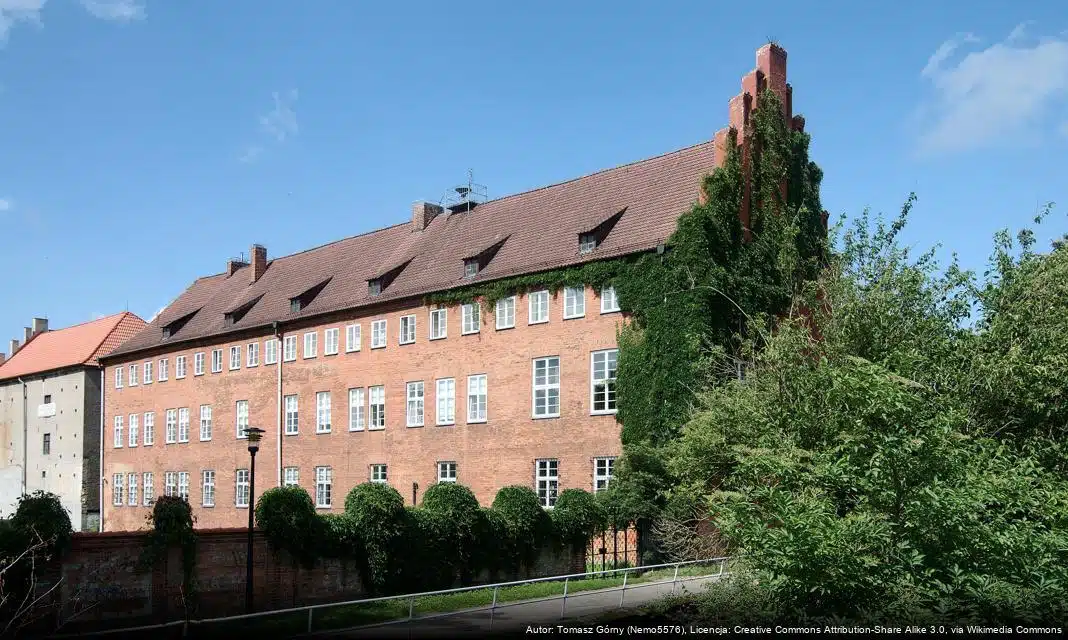 Pielęgnacja dębu czerwonego w Parku Chrobrego